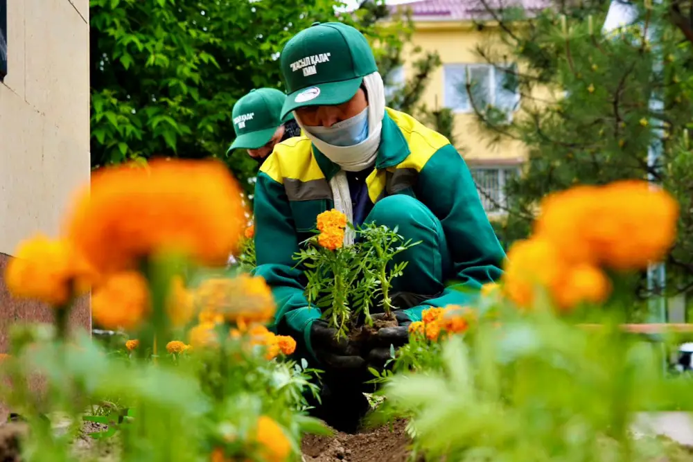 ТУРКЕСТАН: Улучшение городской инфраструктуры в Кентау способствует экологической устойчивости и повышению качества жизни Астане