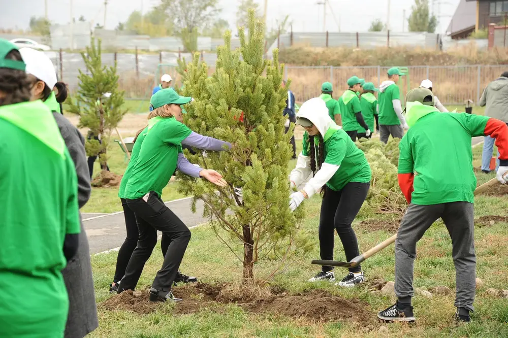 «Таза Қазақстан»: в Алматы в 2026 году высадят более 550 тыс. зеленых насаждений (2)
