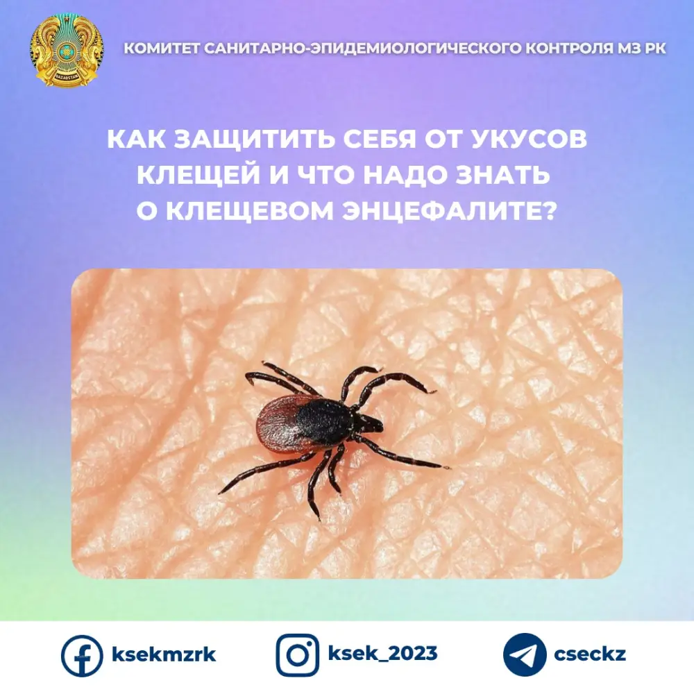 Рост числа укусов клещей в Казахстане: последствия для здоровья и необходимость профилактики Астане