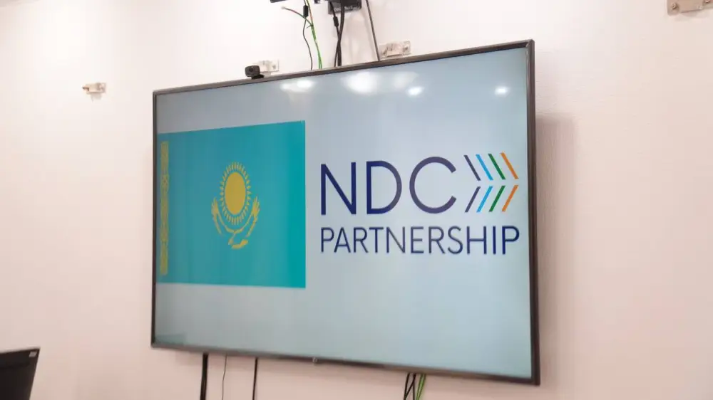 Встреча вице-министра экологии и природных ресурсов Республики Казахстан М.Т. Ошурбаева с директором по взаимодействию со странами NDC Partnership Марианной Панунсио-Фельдман (4)