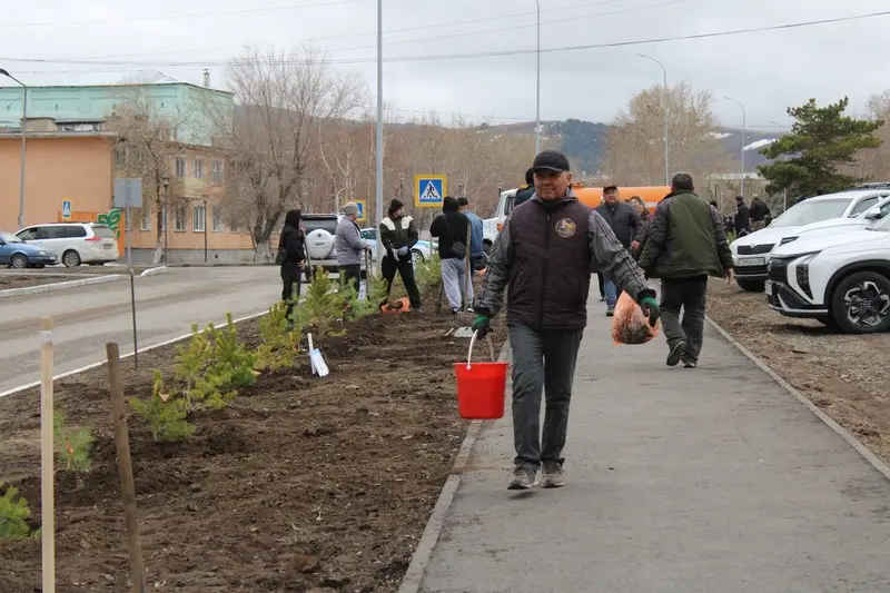 В Каркаралинске высадили 100 сосен к 80-летию Токтара Аубакирова (10)
