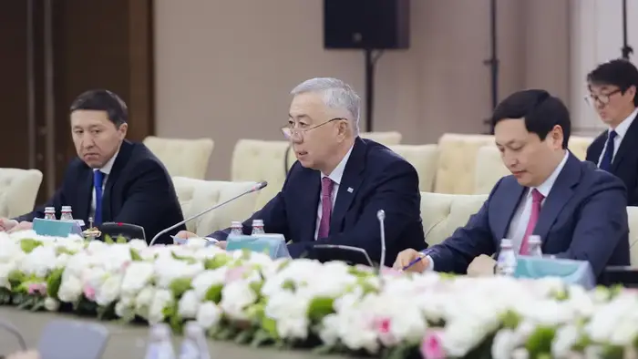 Казахстан и ОЭСР обсудили стратегию сотрудничества на 2026–2030 годы (2)
