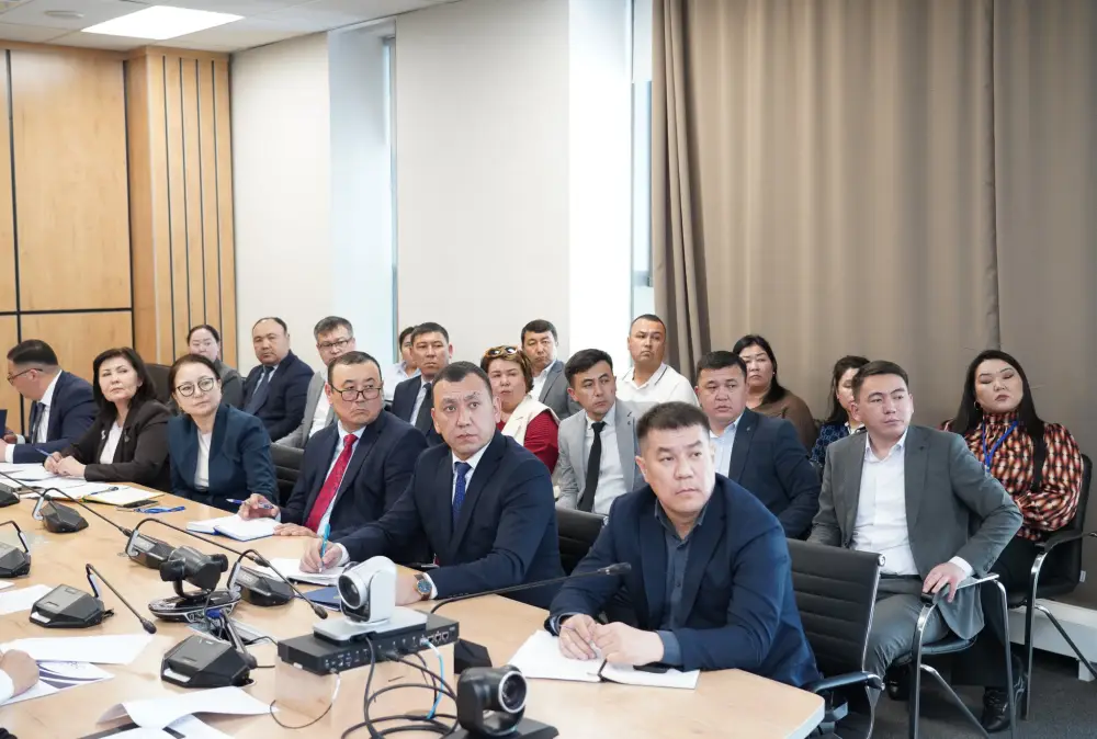 Шаги по улучшению социальной ситуации в Туркестанской области и сокращению зависимости от пособий Астане