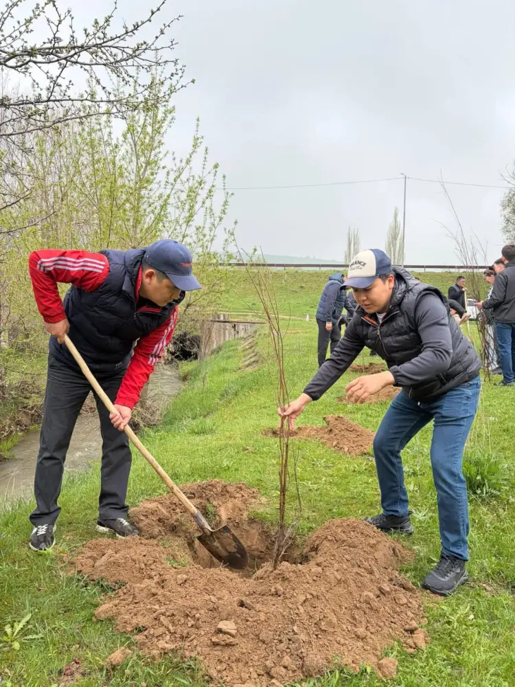 Посадка 9000 деревьев в Толеби: шаг к устойчивому экологическому развитию региона Астане