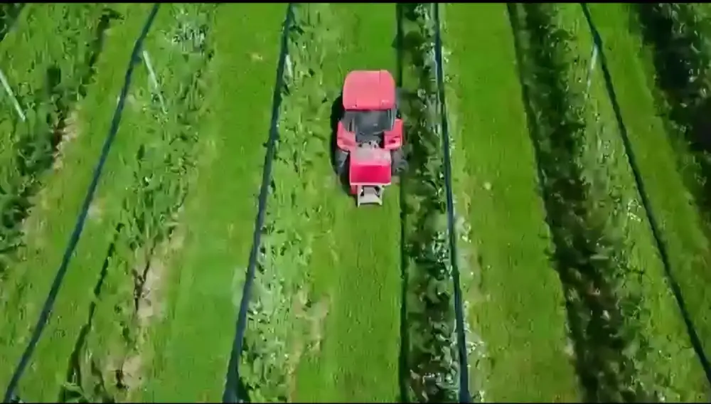 ТҮРКІСТАН ОБЛЫСЫНДА «DALA FRUIT» АГРОӨНЕРКӘСІПТІК КЕШЕНІ ТАБЫСТЫ ЖҰМЫС ІСТЕП ТҰР (9)