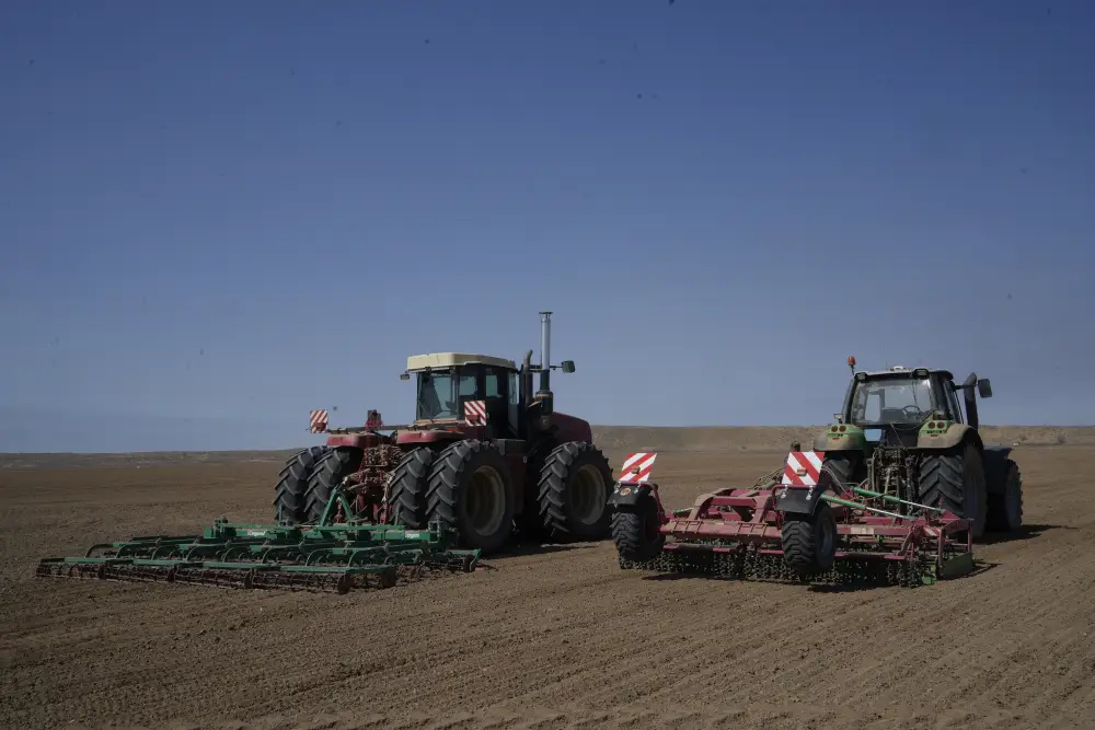 В Жетісу начался сев сахарной свёклы на 13 тыс. гектаров с поддержкой государства Астане
