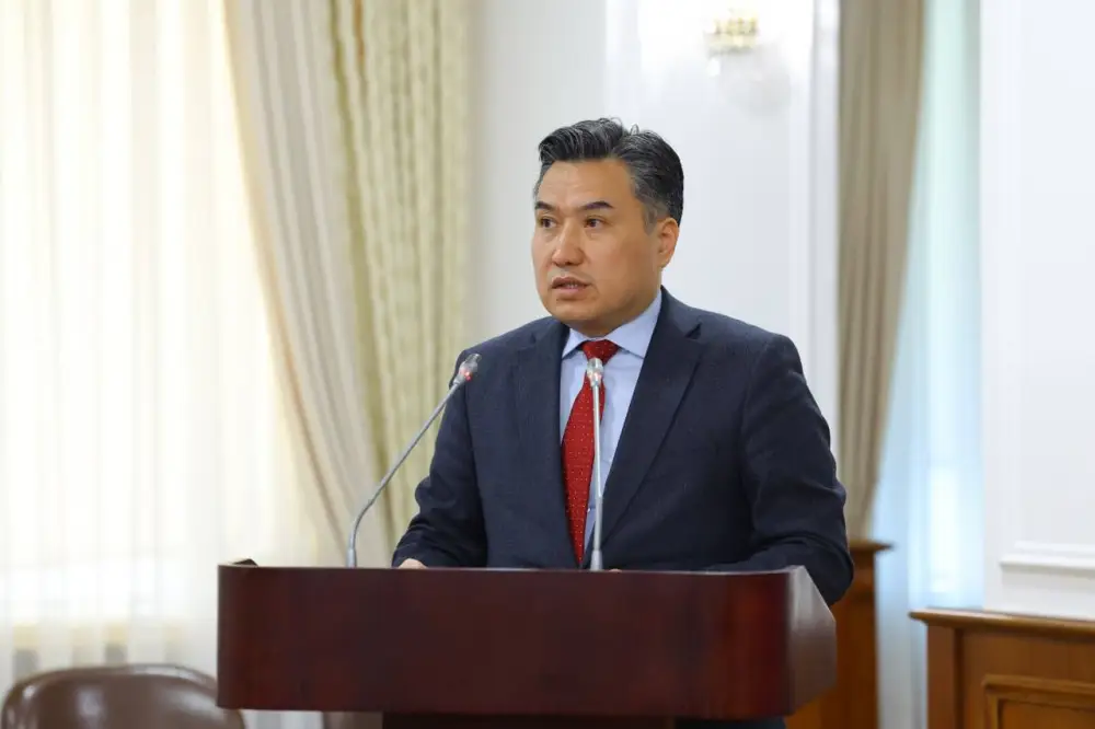 Меры по социальной защите лиц с инвалидностью в Казахстане Астане