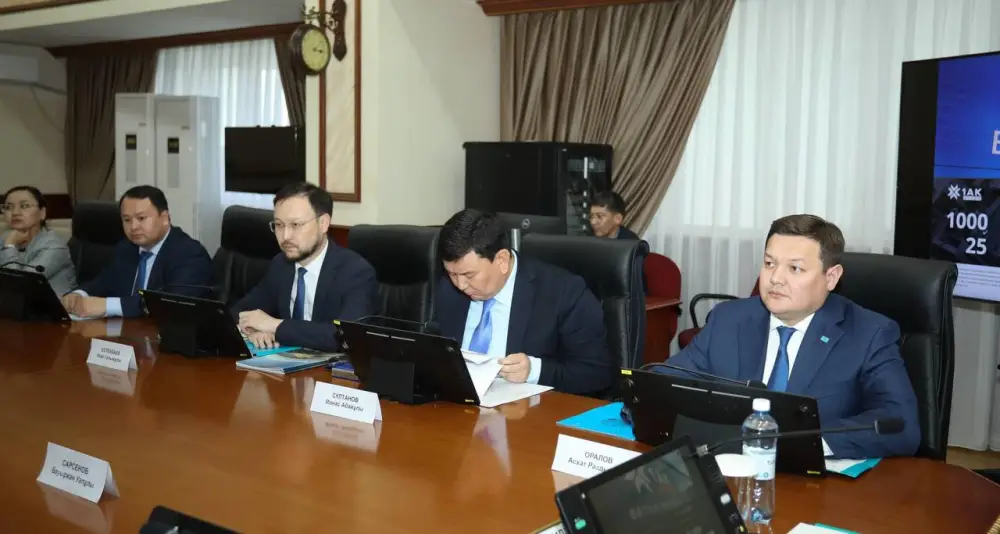 Акиму области инвесторы представили проект строительства нового завода (2)