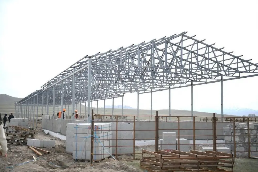 В Алматинской области построят завод по переработке шерсти мощностью более 2 тыс. тонн в год (2)