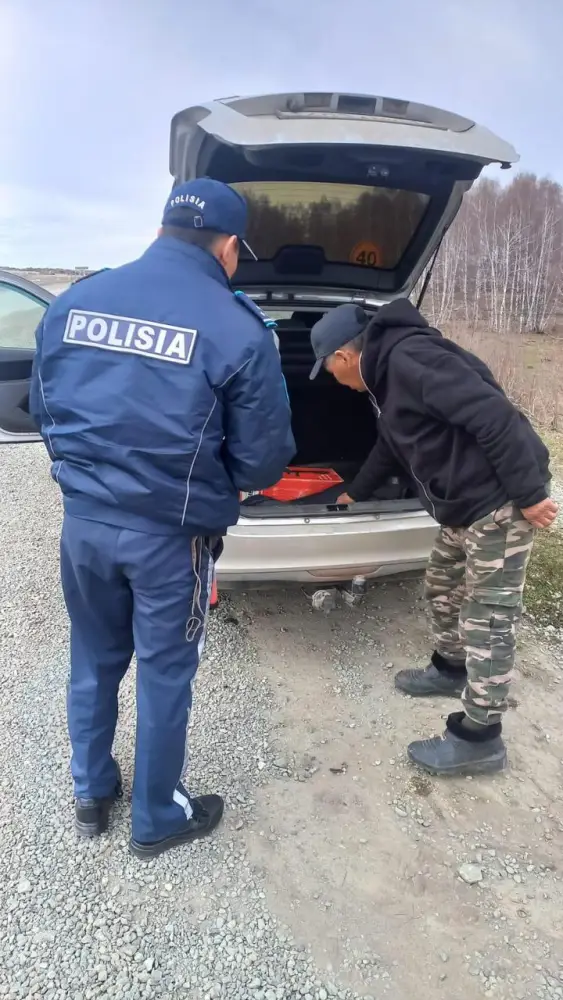 Акция по защите рыб в ВКО: борьба с браконьерством и сохранение экосистемы Астане