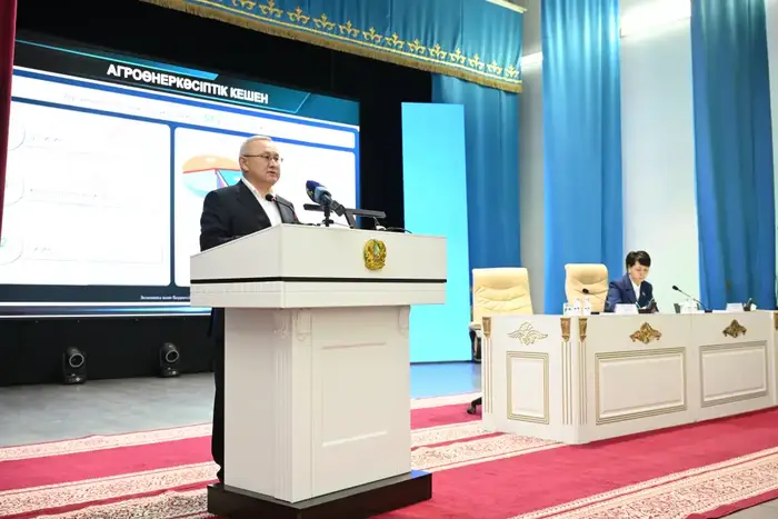Бейбит Исабаев: на побережье озера Балхаш построят три коммунальных пляжа (8)