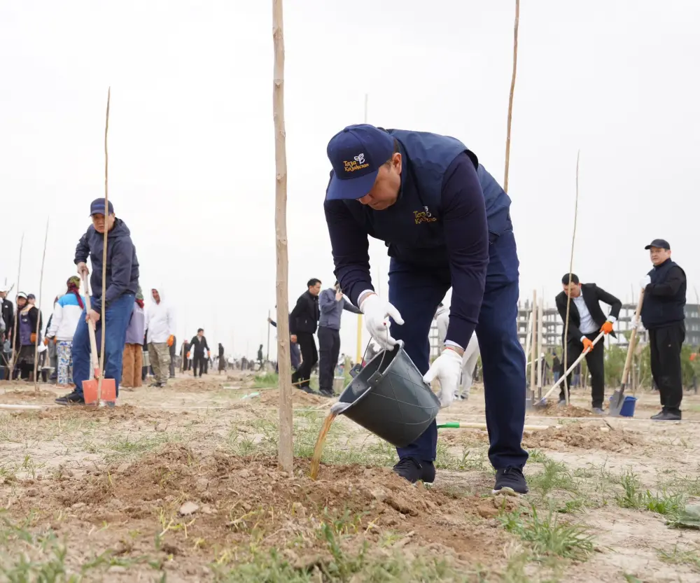 “ТАЗА ҚАЗАҚСТАН”: ВО ВРЕМЯ МАСШТАБНОЙ ЭКОАКЦИИ В ТУРКЕСТАНЕ ВЫСАДИЛИ БОЛЕЕ 2 ТЫСЯЧ ДЕРЕВЬЕВ (3)