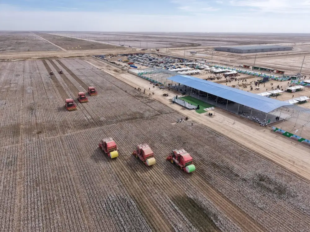 В ТУРКЕСТАНЕ РАЗВИВАЕТСЯ ХЛОПКОВО-ТЕКСТИЛЬНЫЙ КЛАСТЕР ПОЛНОГО ЦИКЛА (6)