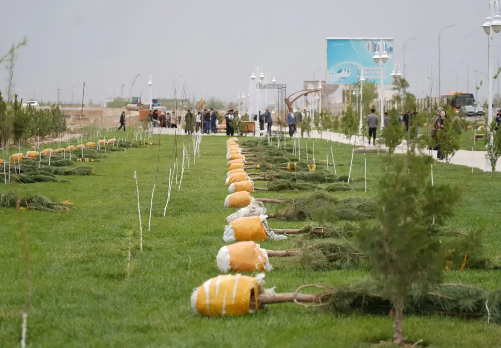 “ТАЗА ҚАЗАҚСТАН”: ВО ВРЕМЯ МАСШТАБНОЙ ЭКОАКЦИИ В ТУРКЕСТАНЕ ВЫСАДИЛИ БОЛЕЕ 2 ТЫСЯЧ ДЕРЕВЬЕВ (5)