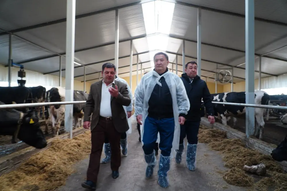 В Акмолинской области запустили современную молочную ферму на 400 голов (3)