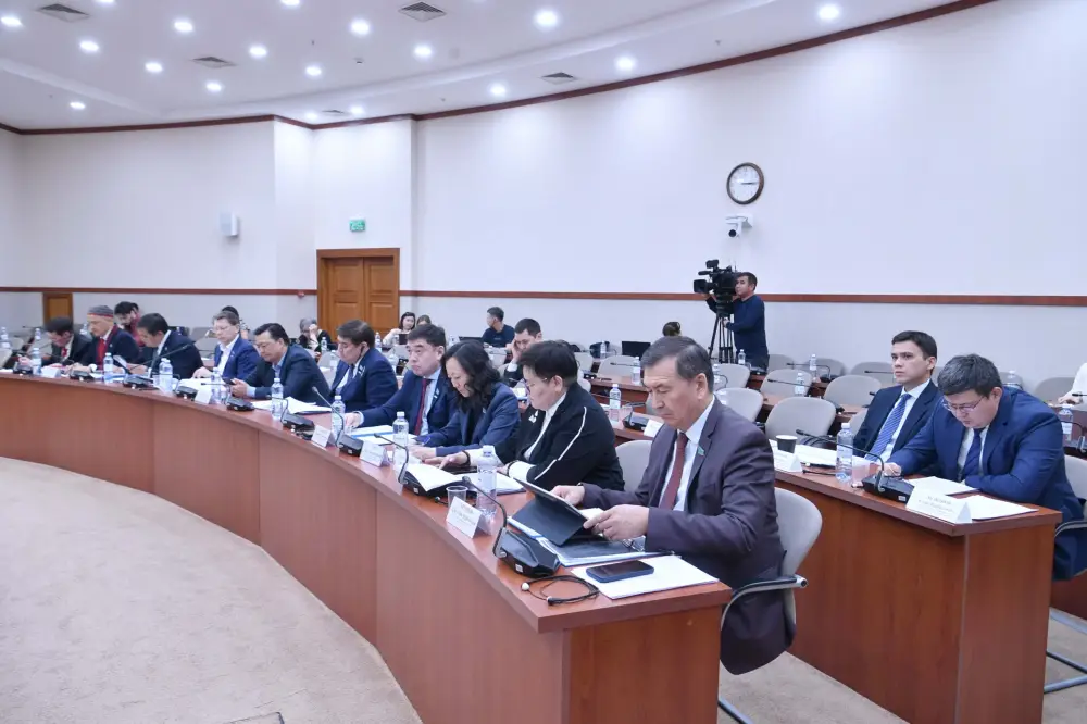 Казахстан усиливает поддержку отечественных производителей и снижает импортозависимость (2)