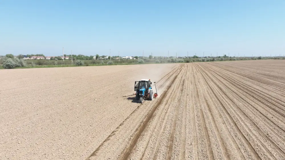Мактаарал: старт посевной кампании хлопка Астане