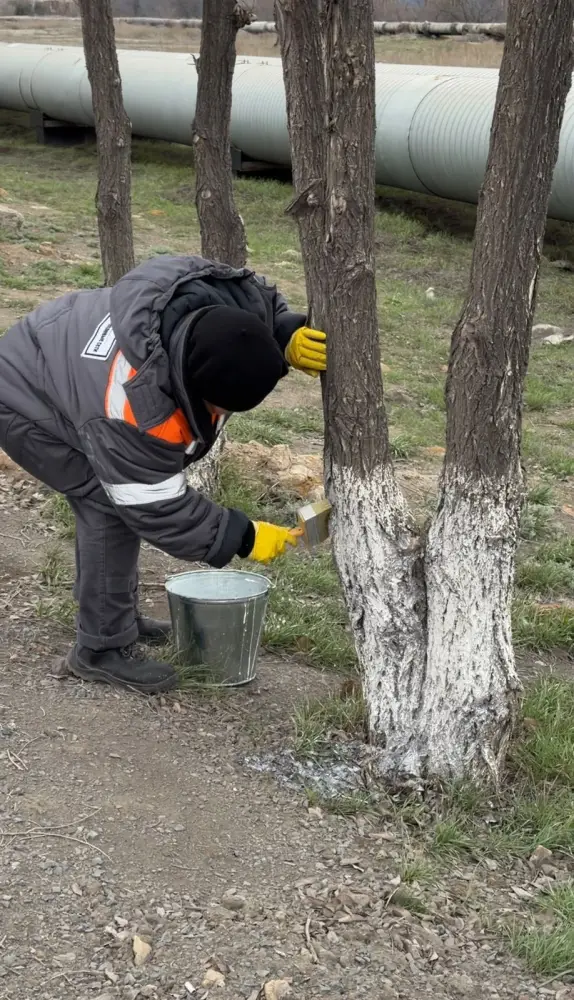 Экологическая акция по формированию культуры и ответственности за окружающую среду в Павлодарской области Астане