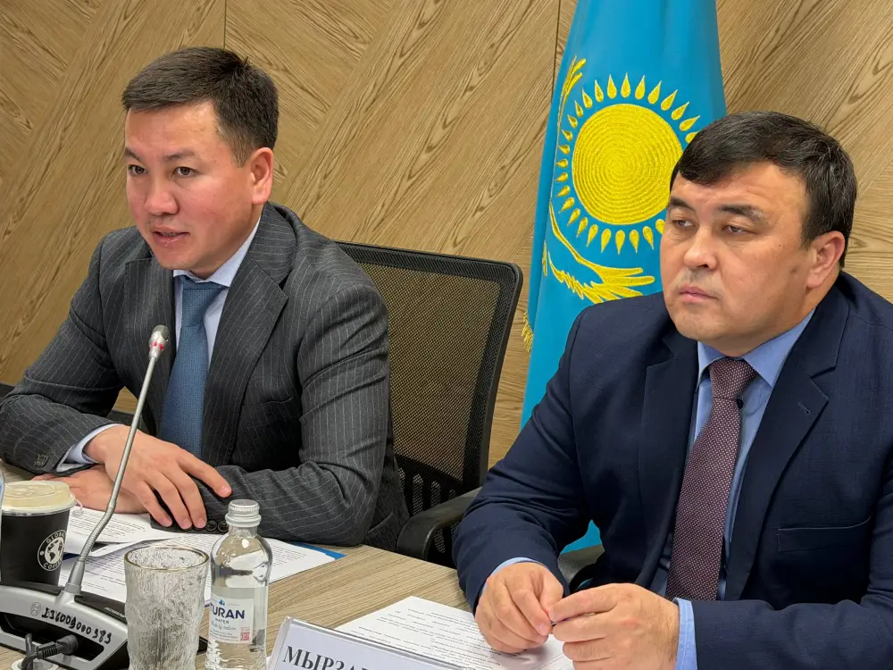 Ужесточение контроля за ценами в Казахстане: последствия для рынка и теневой экономики Астане