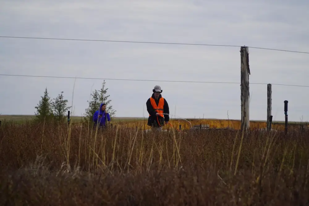 Аким Акмолинской области посетил лесопитомник в Шортандинском районе (7)