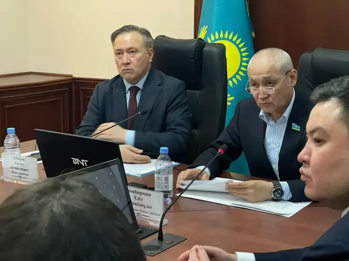 Условия поддержки казахстанских товаропроизводителей и меры для роста экономики Астане