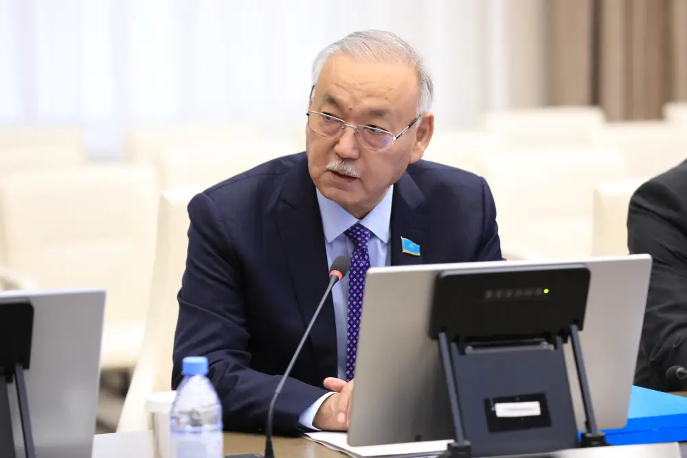 Аким региона обсудил с сенаторами развитие экономики и бюджетный потенциал (7)