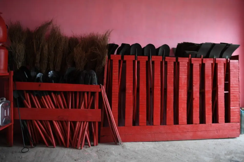 Лесной фонд в Алматинской области расширяется (4)