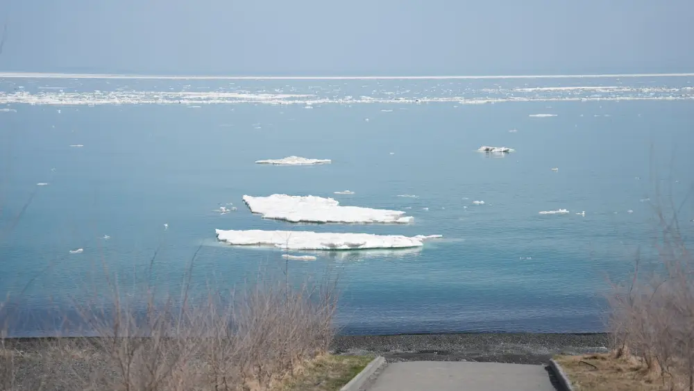 Аида Балаева ознакомилась с ходом подготовки побережья Алаколя к летнему туристическому сезону (2)