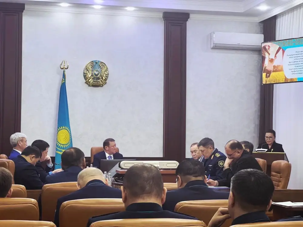Кто в группе риска? Заседание комиссии в Костанае Астане