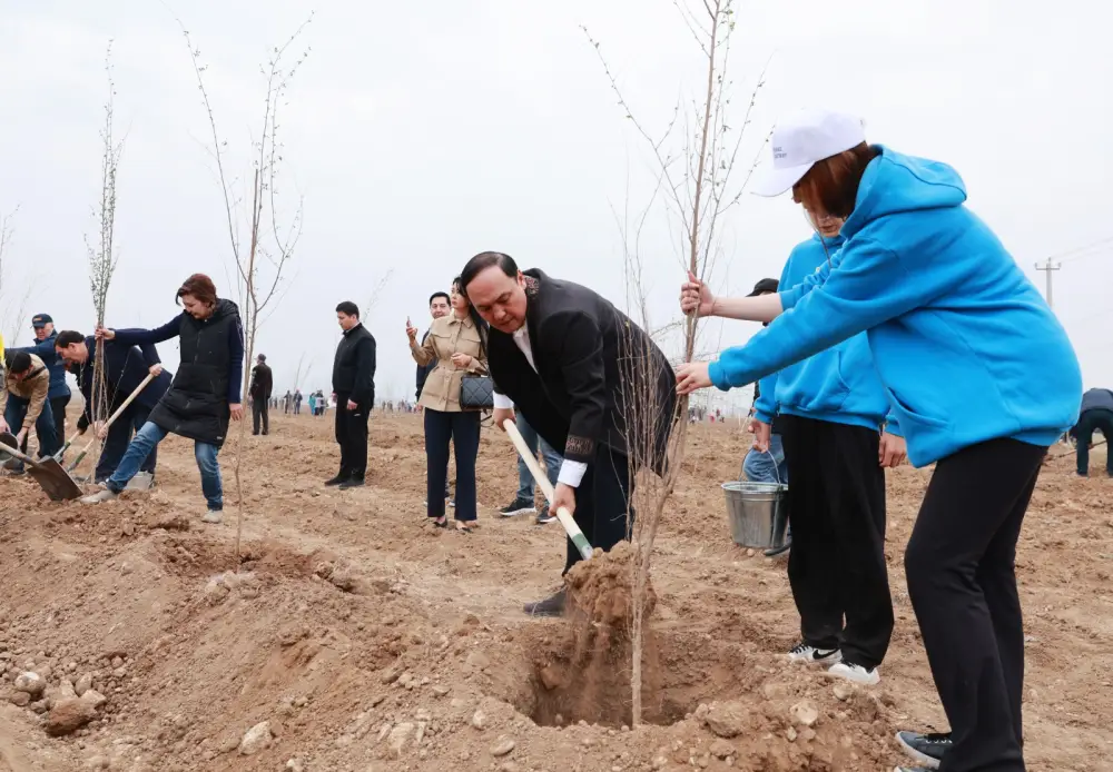 Тараз: 10 тысяч деревьев высажено в рамках акции 'Таза Қазақстан' Астане