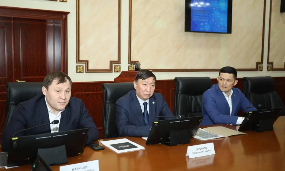 Акиму области инвесторы представили проект строительства нового завода (3)