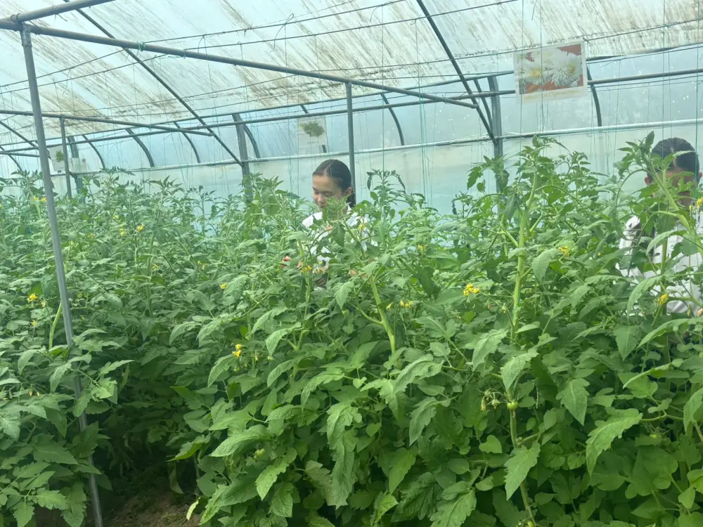 ШЫМКЕНТ: В IT-ЛИЦЕЕ №89 СИСТЕМНО ФОРМИРУЕТСЯ ЭКОЛОГИЧЕСКАЯ КУЛЬТУРА (2)