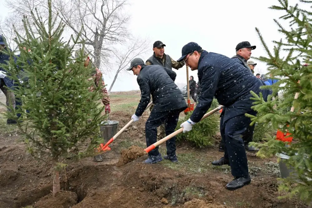 Представители фонда «Самрук-Казына» приняли участие в акции по посадке деревьев в Семее (2)