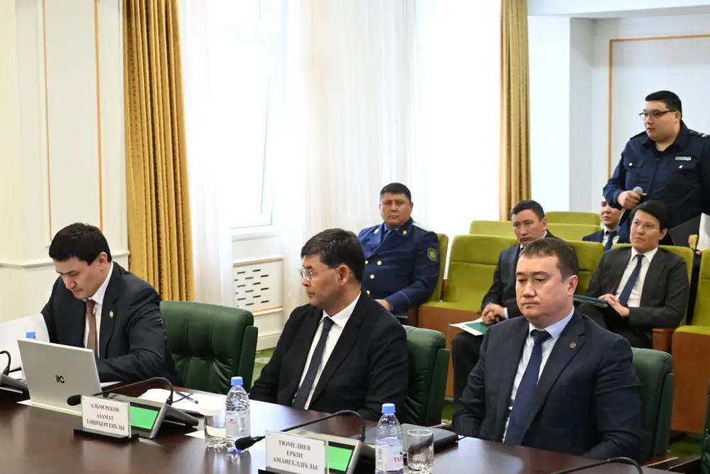 Состоялось очередное заседание Межведомственной комиссии по профилактике правонарушений (МВК) в Жетісу (3)