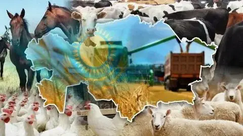 Животноводство Абай 2025 объемы производства мяса молока яиц меда шерсти Астане