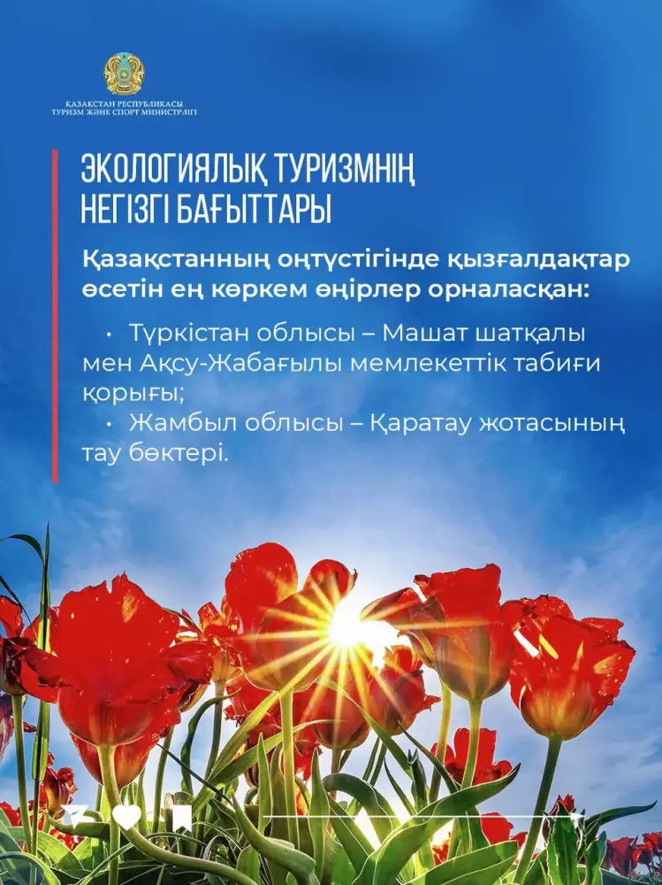 Краснокнижные тюльпаны Грейга: природное наследие Казахстана как точка притяжения туристов (3)