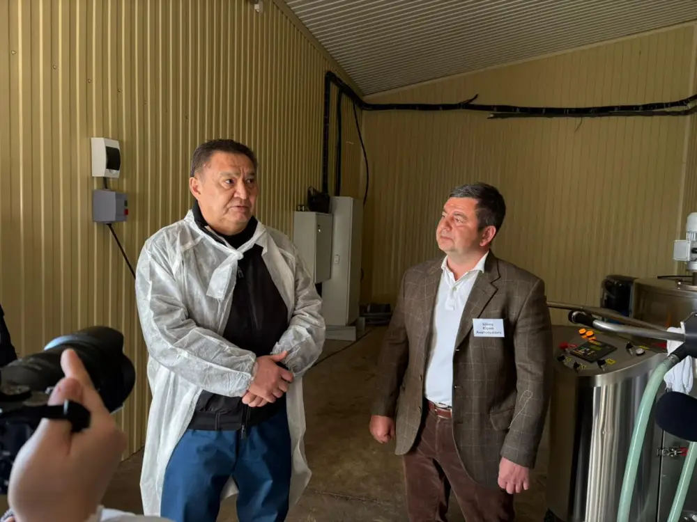 Современная молочная ферма на 400 голов в Акмолинской области Астане