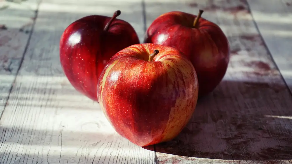 Хищение бюджетных средств программа садоводства уголовное дело суд Астане