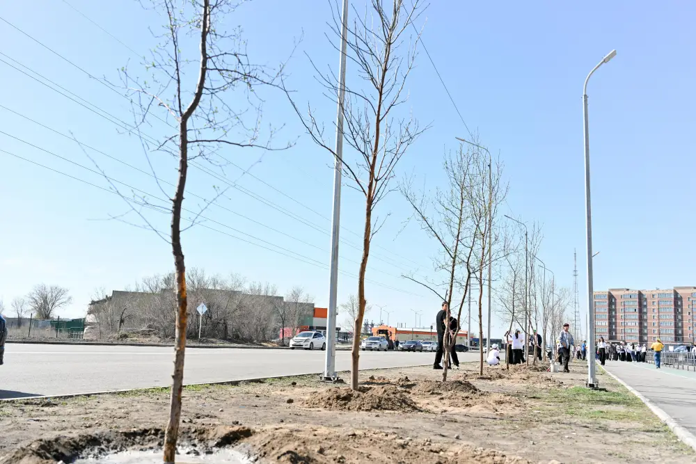 Аким области принял участие в акции по посадке деревьев в Семее (9)
