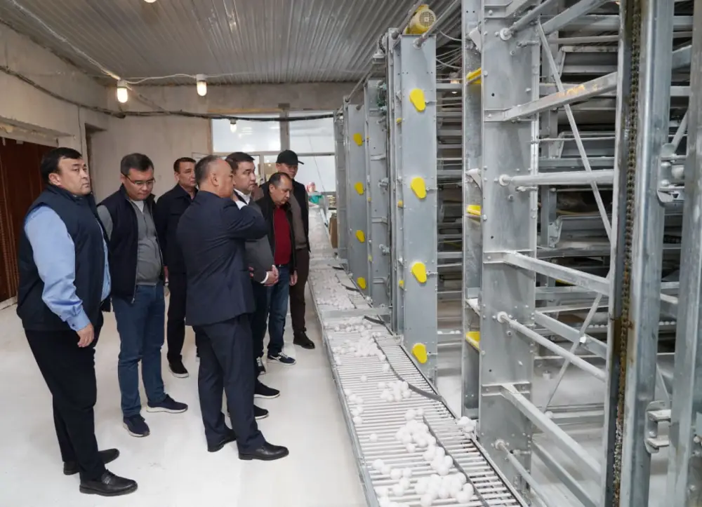 ТУРКЕСТАН: ПТИЦЕФАБРИКА В САРЫАГАШЕ ОБЕСПЕЧИВАЕТ РЕГИОН ОТЕЧЕСТВЕННОЙ ПРОДУКЦИЕЙ (6)