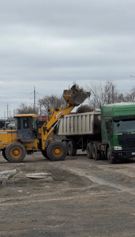 В Павлодарской области прошла экологическая акция «Таза қала» (3)