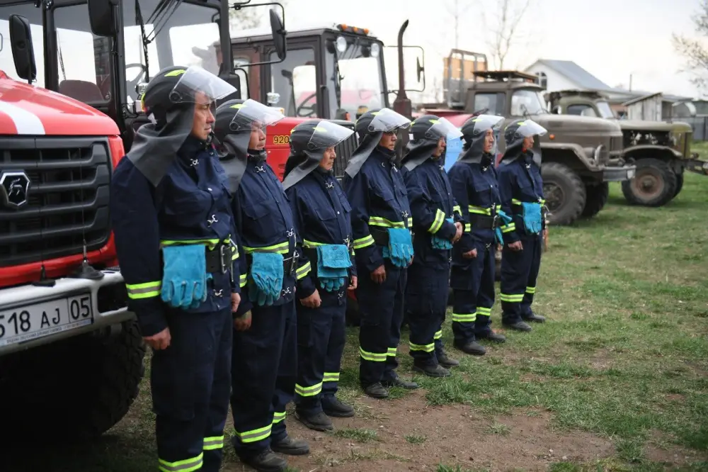 Лесной фонд в Алматинской области расширяется (6)