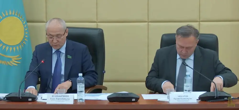 Развитие внутристрановой ценности обсудили в Мажилисе (2)