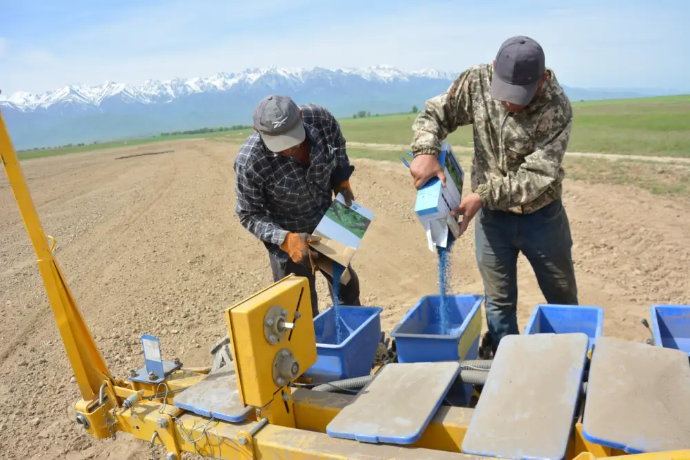 В Жамбылской области в 2026 году сельхозкультуры разместят на площади 665,4 тыс. гектаров (5)