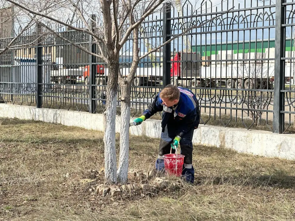 «Таза Қазақстан»: на территории столичного завода прошла масштабная уборка (6)