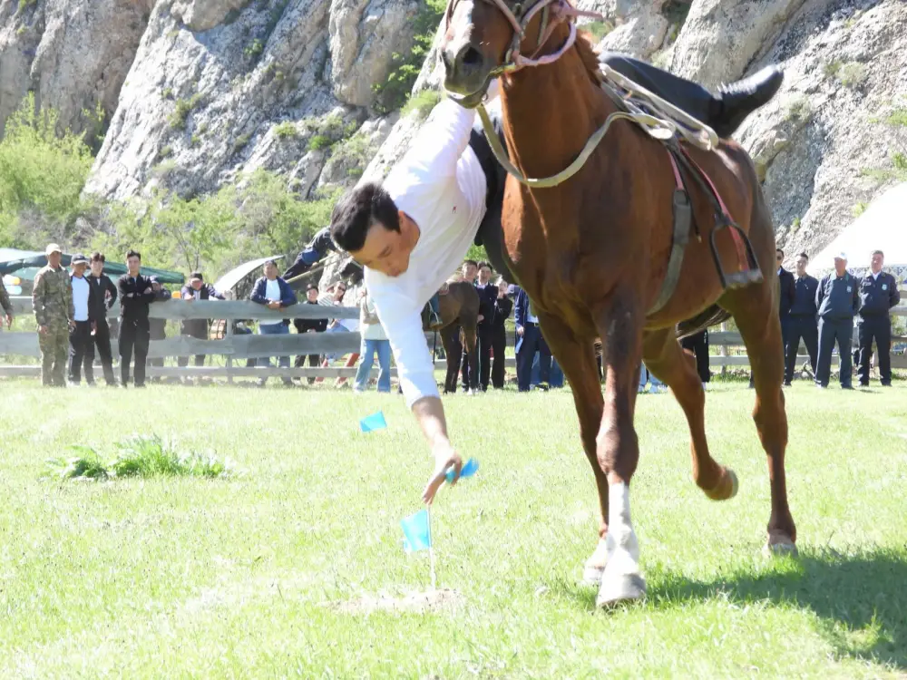 В ТУРКЕСТАНСКОЙ ОБЛАСТИ ПРОШЛА ЭКОЛОГИЧЕСКАЯ АКЦИЯ ПО ЗАЩИТЕ ТЮЛЬПАНОВ (8)