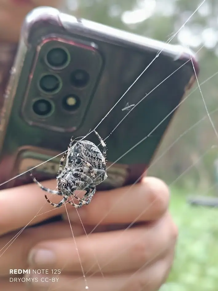 Караганда присоединится к международной акции City Nature Challenge (3)