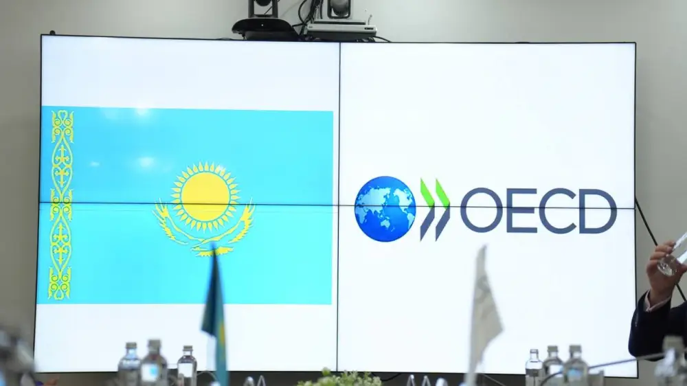 Министр экологии Е.Н. Нысанбаев встретился с Заместителем Генерального секретаря ОЭСР Ф. Лапекорелла (7)