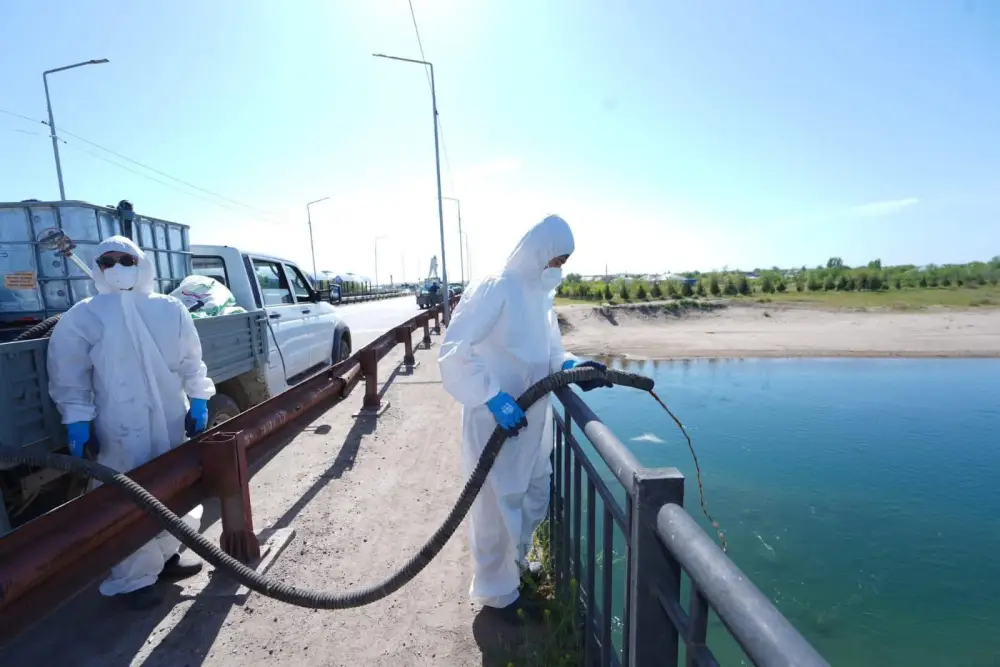 Отырар: весна без мошек — начинается битва! Астане