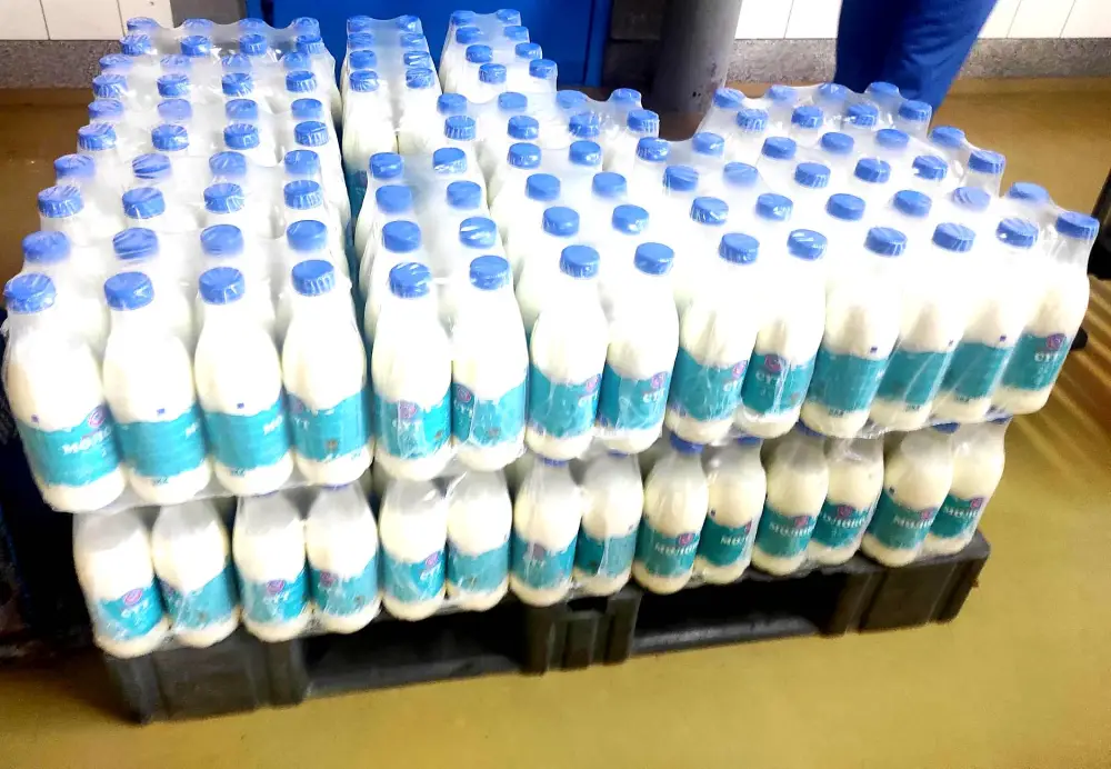 В Усть-Каменогорске соберутся умы агропрома на юбилейном форуме «PRO МОЛОКО 2026 & QazaqSut» Астане